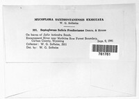 Image Associated With the Occurence